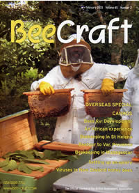 Beecraft Vol.85 No.2