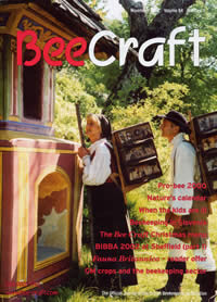 Beecraft November 2002