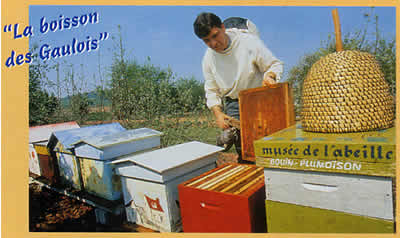 Therry Apiculture