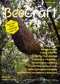 Bee Craft Journal