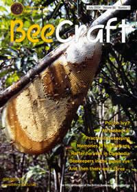 Bee Craft July 04