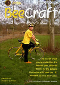 Bee Craft March issue cover