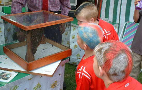 Bromley Beekeepers display at St Christopher’s School Beckenham
