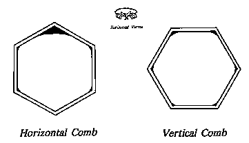 Where vertical comb is present and the flat portion of the hexagon is uppermost