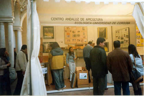 The CAAPE stand