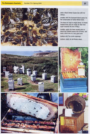 Photographs from the Breton Black Bee article