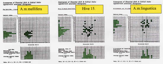 Scattergrams and Histograms