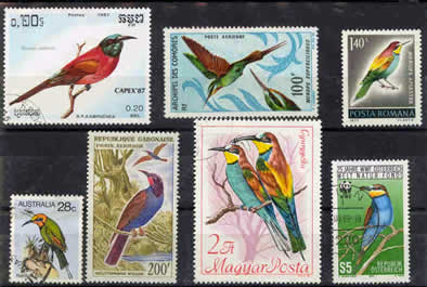 Bee eater bird stamps