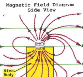 Magnetic Field Diagram side view