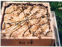 Hive 1-4