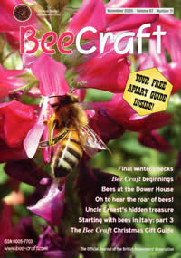 Beecraft November 2005