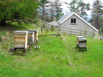 apiary of Eamon Magee in Derrybawn