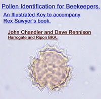 Pollen Identification for Beekeepers