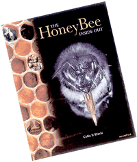The HoneyBee  Inside Out by Celia F Davis 