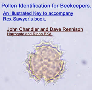 Windows Pollen Identification for Beekeepers